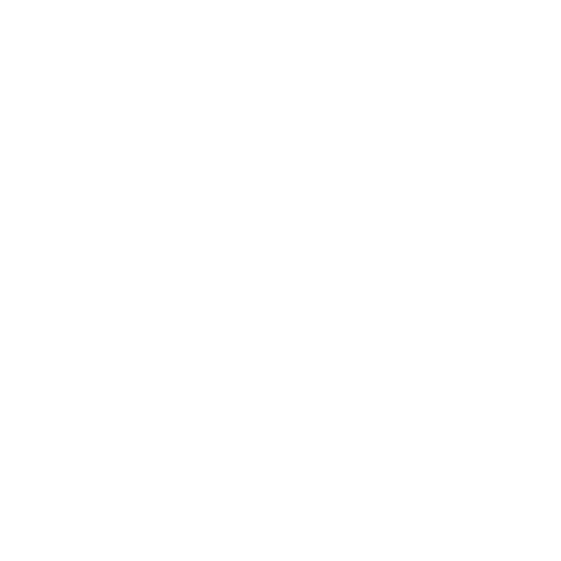 Image d'une icône