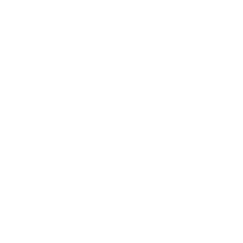 Image d'une icône
